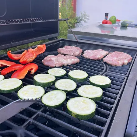 Ferienhaus Wellness - Brana Na Sumavu Sobesice