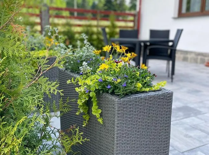 Wellness - Brana Na Sumavu Feriehus Sobesice